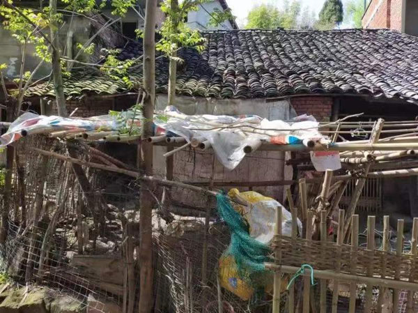 圖：何萱同學原生活環境(修繕前)